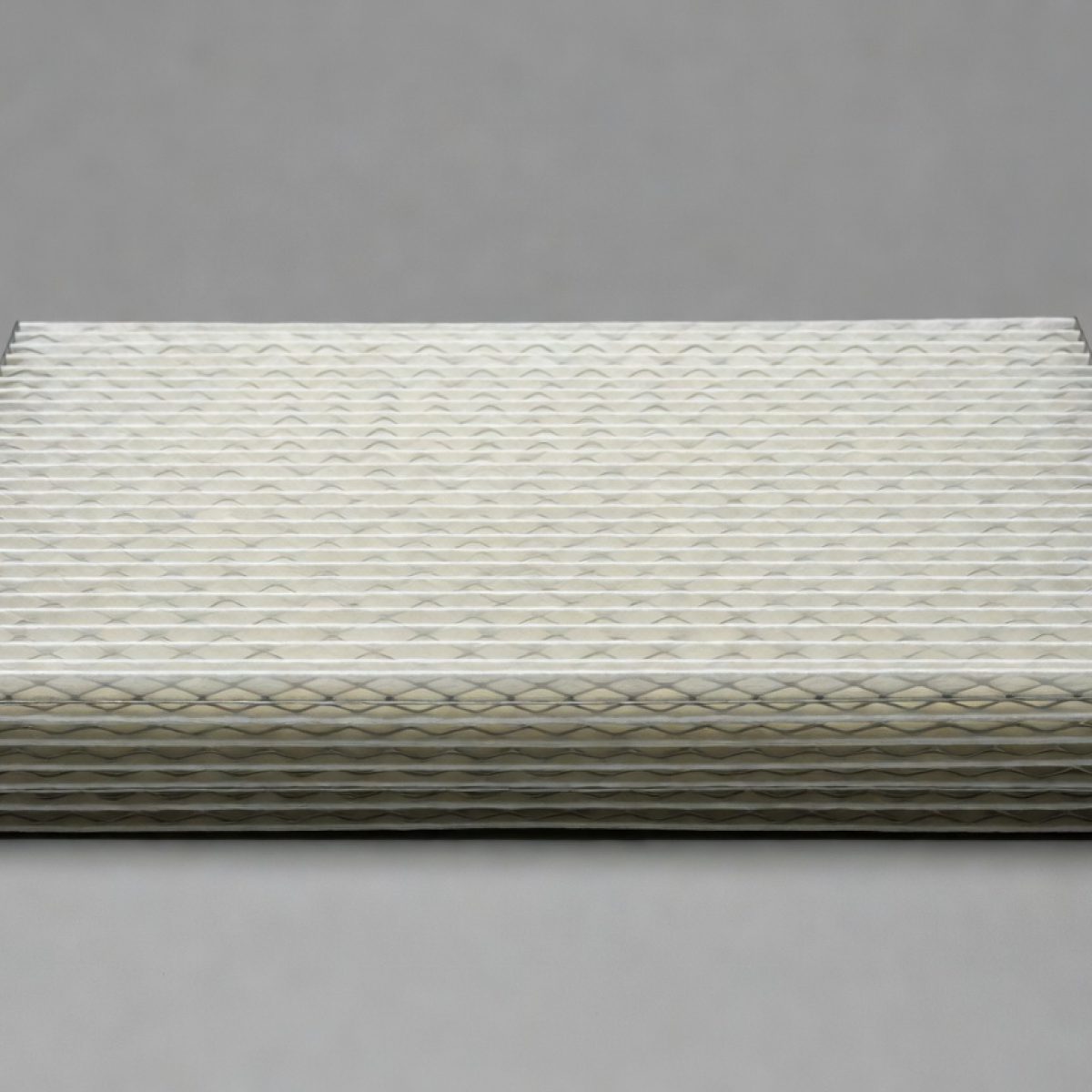 Ford Ranger 3.2L Diesel Air Filter